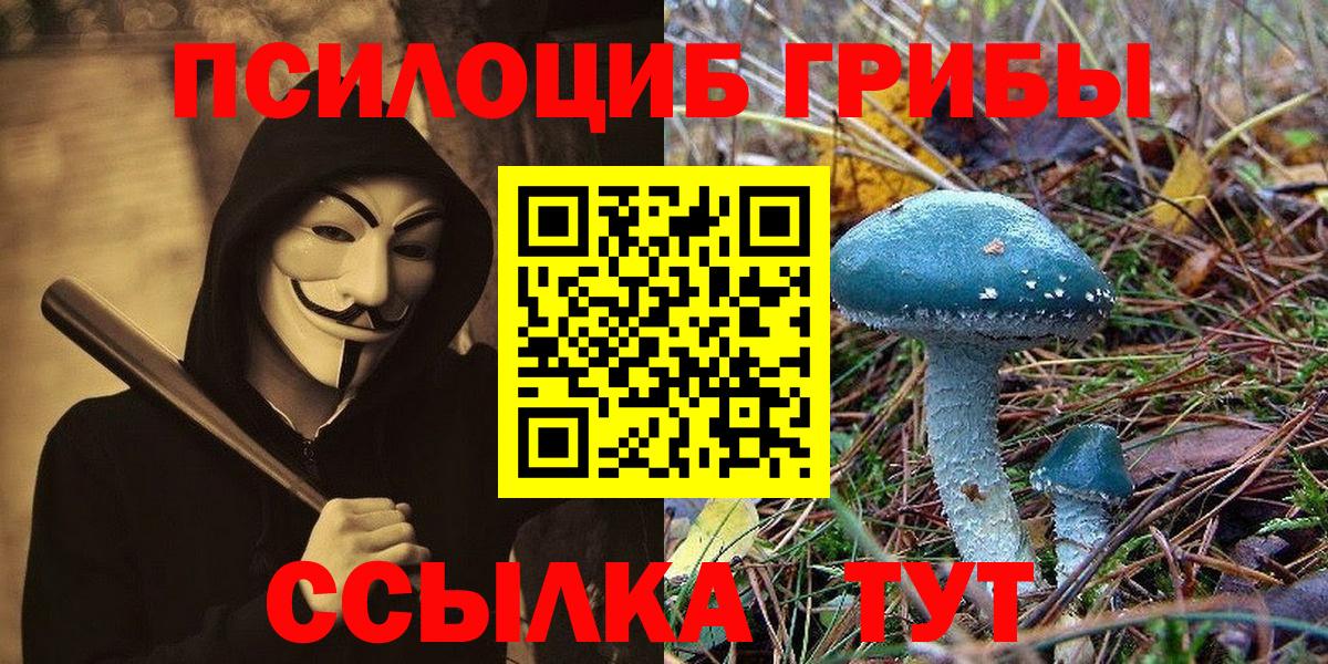 Псилоцибиновые грибы Psilocybine cubensis  Вход с VPN  купить   Стрежевой 